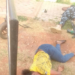 Mobile Policeman Kills Woman Friend, Commits Suicide In Kwara