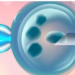 Can Pre-implantation Genetic Testing Tackle Multiple Miscarriages? 5 Can Pre-implantation Genetic Testing Tackle Multiple Miscarriages?
