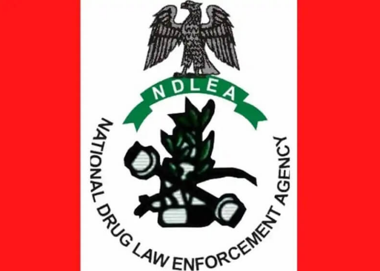 NDLEA