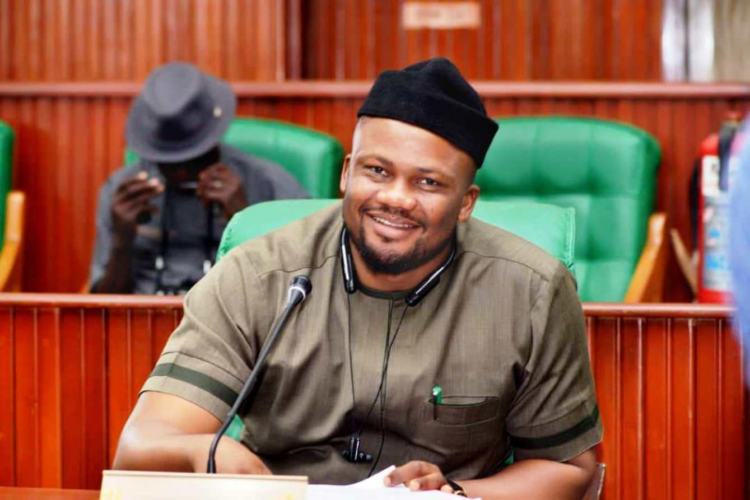 Edo Speaker, Onobun, Wins Reps Seat