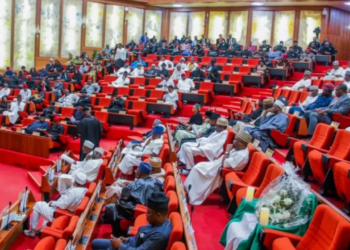 Nigeria’s 10th Senate:  Why The Odds Favour The North-East Zone