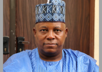 Nigerians Have High Expectations Of Us –Shettima