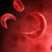 Towards Reducing Sickle Cell Disease Prevalence In Nigeria
