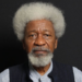 World Poetry Day: Soyinka, Providus Bank Remember Leah Sharibu, Deborah & Women