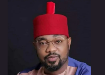 Alleged Murder: Court Bars Police, Imo Gov’t From Arresting Ugochinyere, Others
