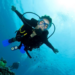 Let’s Go Underwater