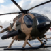 Army Orders 36 Cayuse Warrior Plus Helicopters From US