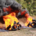 Motorsports: NGO Advocates Against Burning Expired Tyres in order to Protect Environment