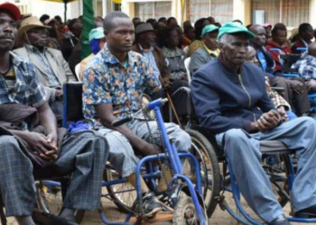 2023 Polls: CSO Expresses Worry Over Non-election Of 36 PWDs