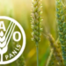 Nigeria Needs To Transform Current Food Systems –FAO