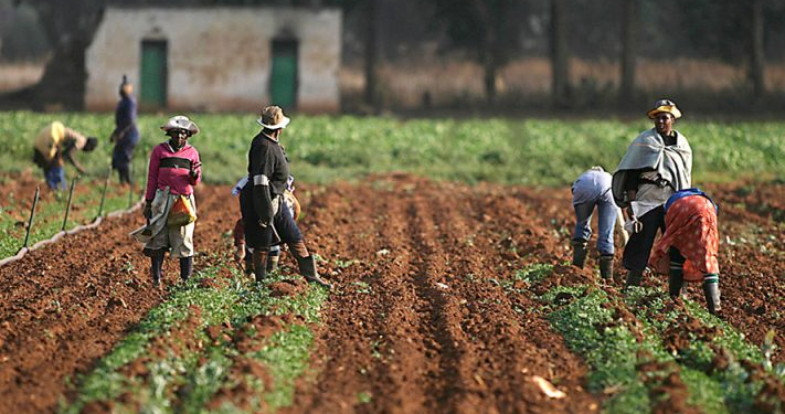 fertilisers