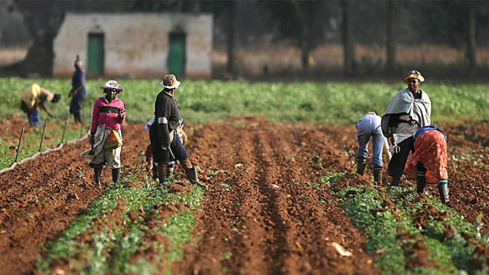 Beware Of False Rainfall Onset, NiMet Warns Famers 1 farmers