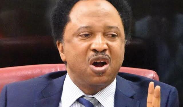 Shehu sani