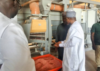 Kebbi Flour Mill Begins Production