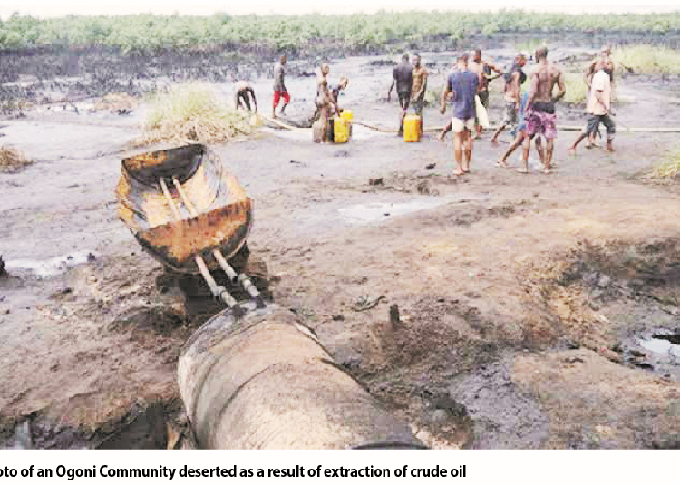 Ogoni Cleanup