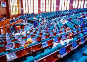 Reps Divided Over Bill Seeking To Legalise Cultivation, Use Of Marijuana