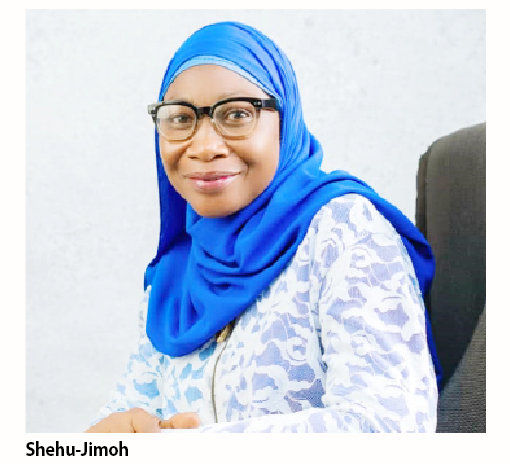 N-SIP: How Kwara Women Become Breadwinners Of Their Families – Kwara Focal Person 1 shehu jimoh