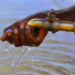 USAID To Partner Lagos To Improve Water Supply 5 USAID To Provide Clean Water To 52,000 Households In Bauchi