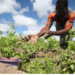 Stakeholders Urge Policy Alignment On Agric 5 Stakeholders Canvass Improvement In Agric Commodity Value Chain