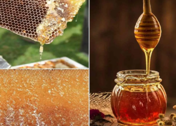 Investing In Pure Honey For Profit