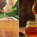Investing In Pure Honey For Profit