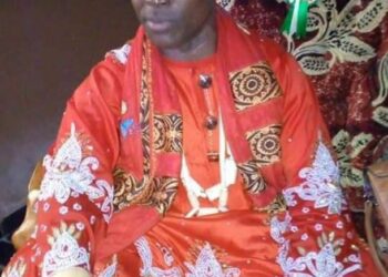 Order Imo CP To Release Umuobom Traditional Ruler From Detention, Ugochinyere Tells IGP