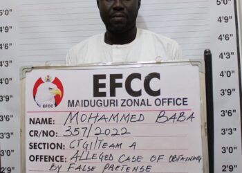 Borno Court Jails Mechanic Over N310,000 Fraud