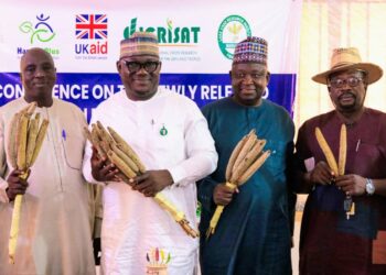 Biofortified Millet Variety Unveiled To Mitigate Hunger