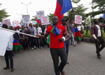 Niger Delta: IYC’s Evolvement From Violent Agitations To Peaceful Engagement