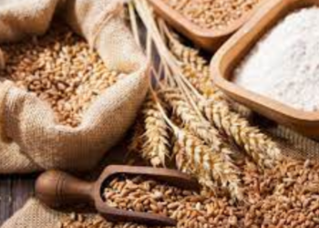 Ramadan And The Imperative Of Zakatul-Fitr
