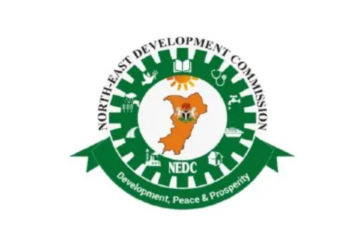 NEDC: Merits And Demerits Of Development Strategies