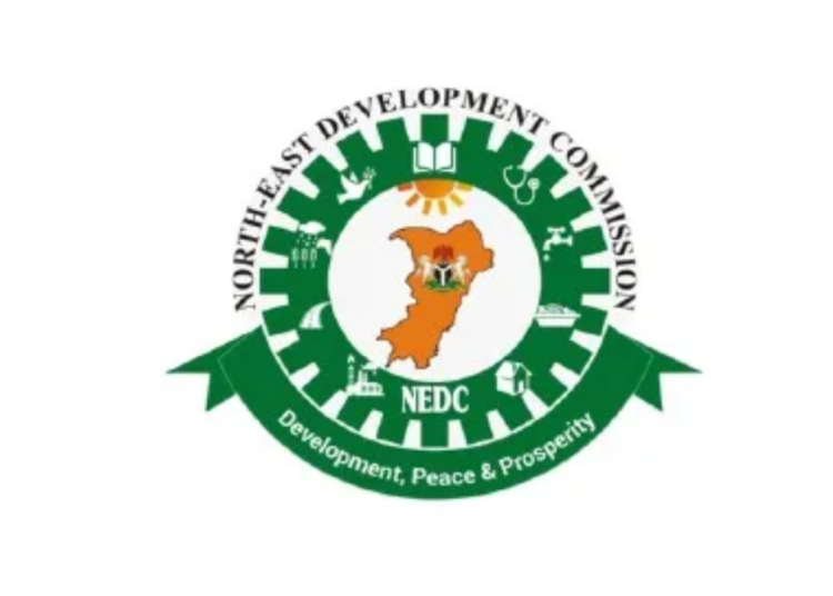 NEDC Donates Food Items To Bauchi Associations