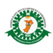 NEDC: Merits And Demerits Of Development Strategies