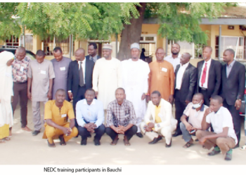 NEDC’s Emergency Care Training For Doctors, Nurses In Bauchi