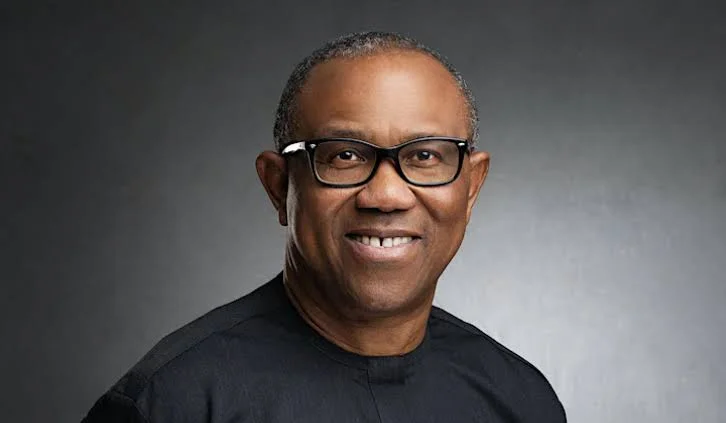 Illegal Detention: UK Hasn't Apologised To Me - Peter Obi