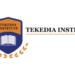 Tekedia Institute Targets Business Professionals In Mini-MBA Programme
