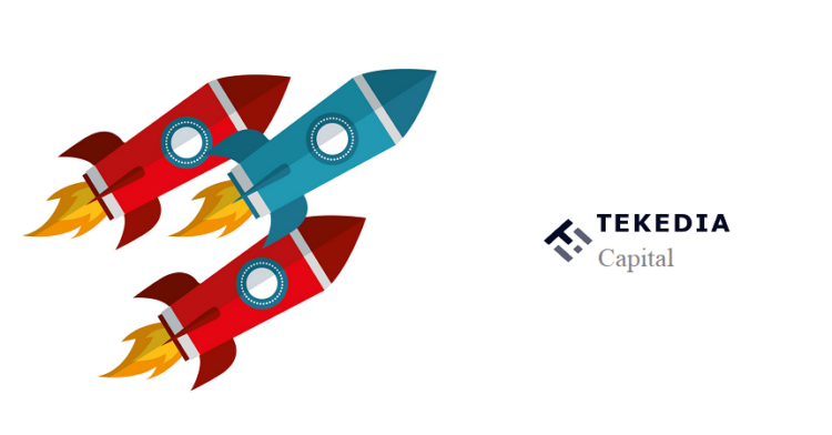 Tekedia Capital