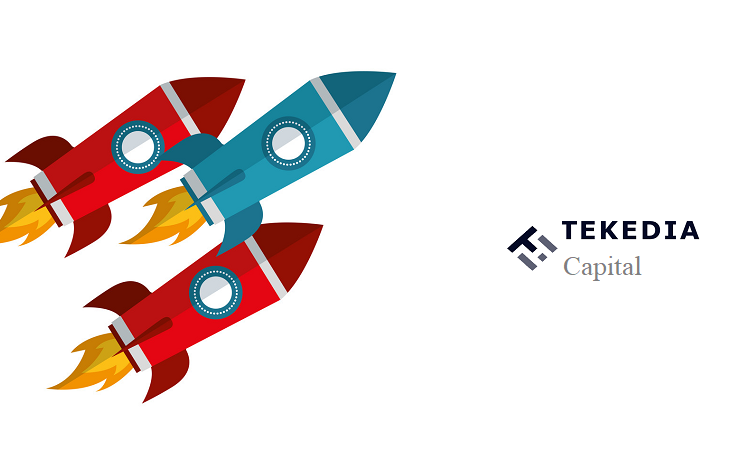 Tekedia Capital