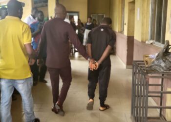 Ex-Police Inspector Arraigned For Murder In Delta
