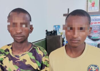 Police Nab 2 Suspected Kidnappers in Adamawa
