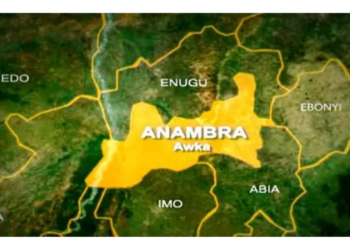 Lorry Driver Struggling With Revenue Agents Kill 3 In Anambra