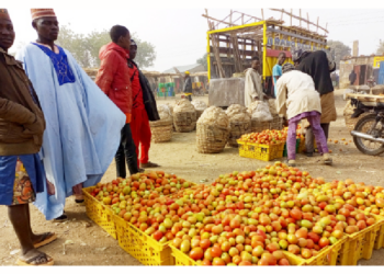 Farmers, Traders Decry Hardship, Seek Government Support In Katsina