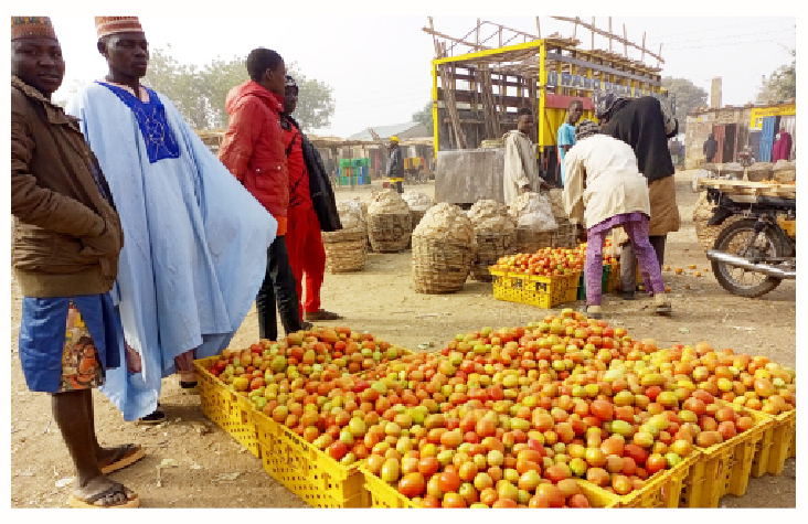 Farmers, Traders Decry Hardship, Seek Government Support In Katsina 1 farmers