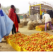 Farmers, Traders Decry Hardship, Seek Government Support In Katsina