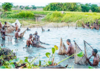 Unlocking The Potentials Of Afon Fishing Festival In Kwara