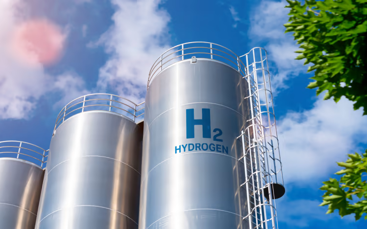 hydrogen economy