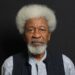 Vilification Of Soyinka 5 Fascism On Course