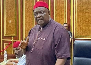 Iwuanyanwu Emerges President General of Ohanaeze NdIgbo Worldwide