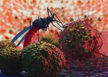 Eradicating Malaria In Nigeria