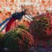 Eradicating Malaria In Nigeria